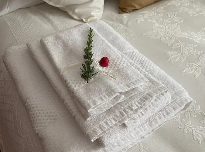 Quinta Do Carvalheiro (adults Only)